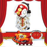 New Year Pet Costume