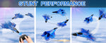 SU35 RC Plane FX620 FX820 2.4G Remote Control Airplane