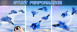 SU35 RC Plane FX620 FX820 2.4G Remote Control Airplane