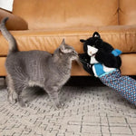 Cat Wrestling Gloves
