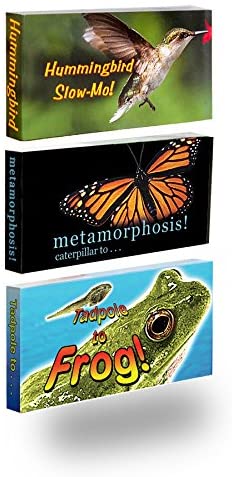 Nature Flipbook 3-Pack: Butterfly, Hummingbird, and Frog Flip Books