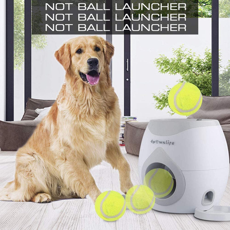 Automatic Dog Feeder Toy