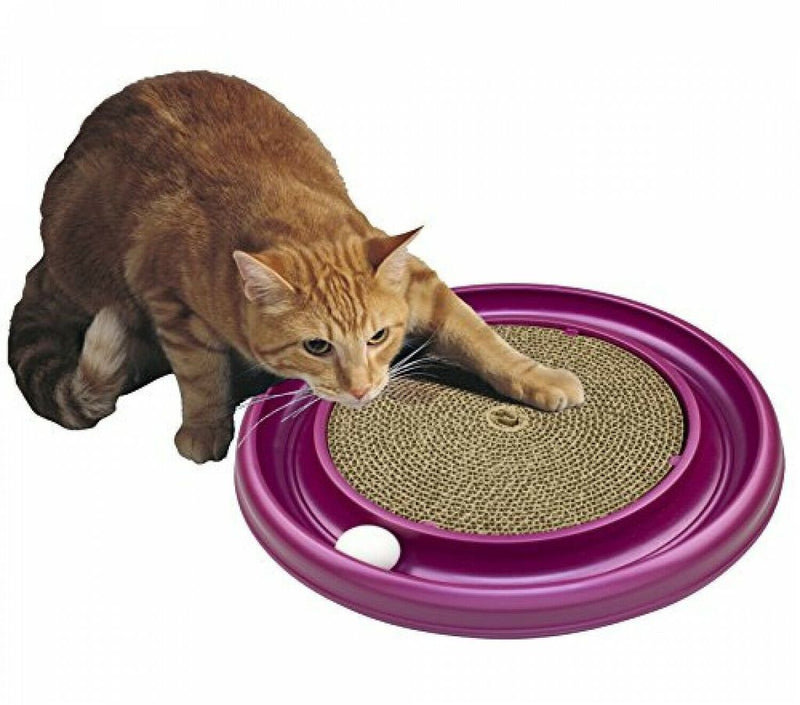 CAT PET PING PONG TOY