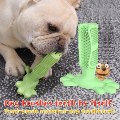 Dog Chew Toys Dogs Toothbrush