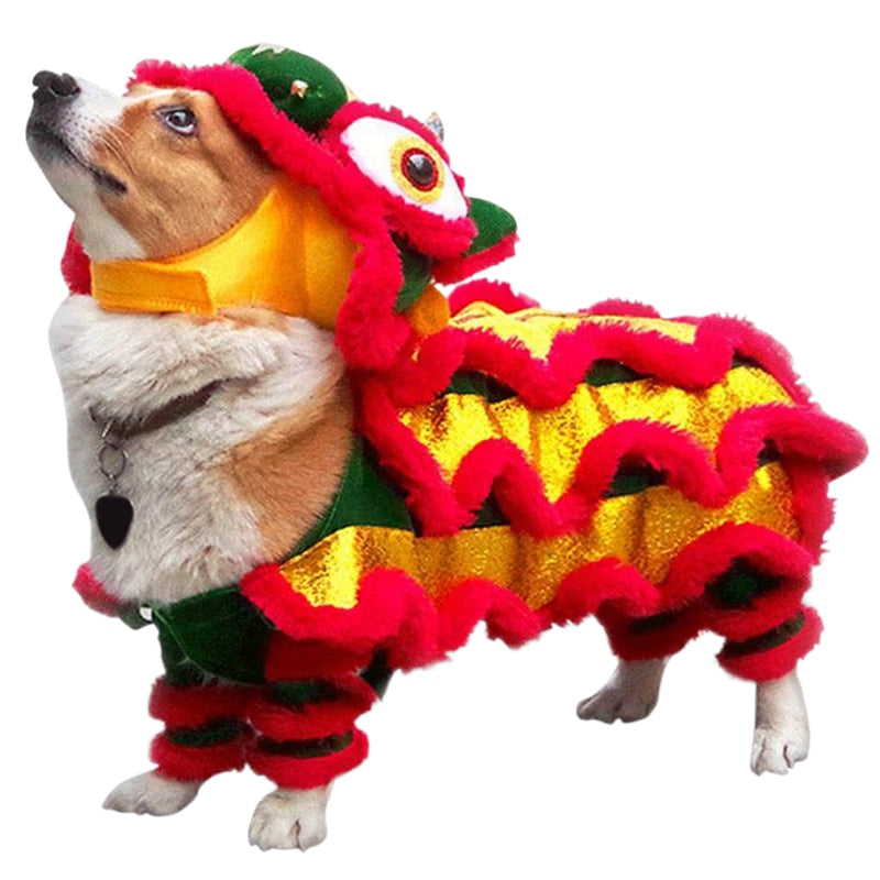 New Year Pet Costume