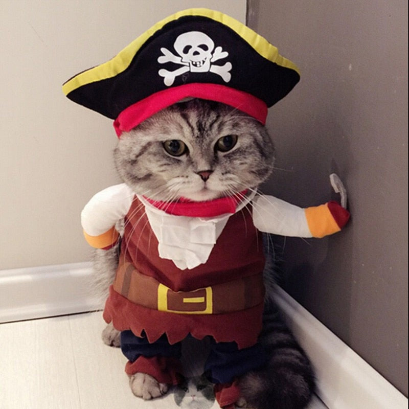 Cat  Halloween Costume