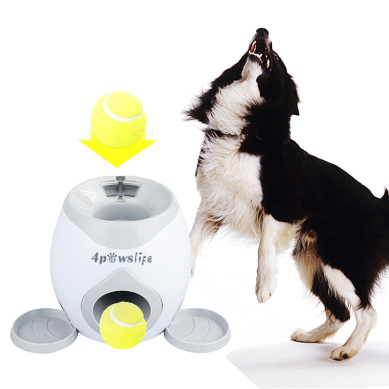 Automatic Dog Feeder Toy