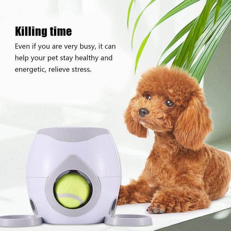 Automatic Dog Feeder Toy