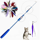 Cat Feather Toy