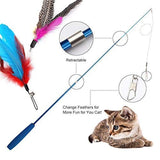 Cat Feather Toy