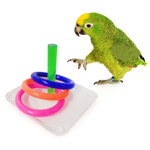 Bird Educational Puzzle Toys