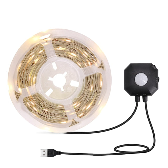 RGB Motion Sensor LED Light