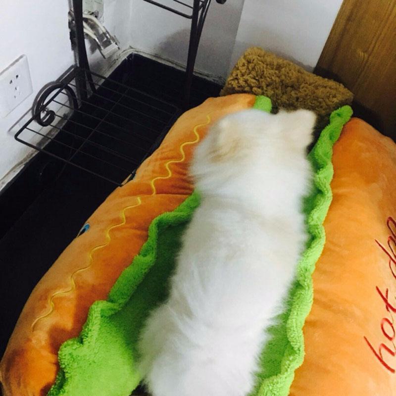 Hot Dog Bed