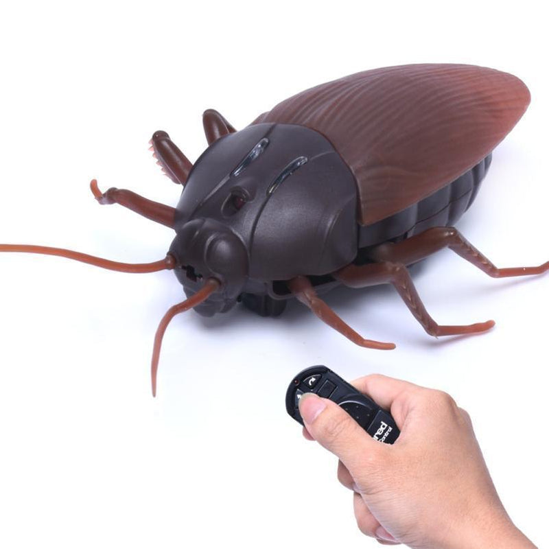 Remote Control Cockroach