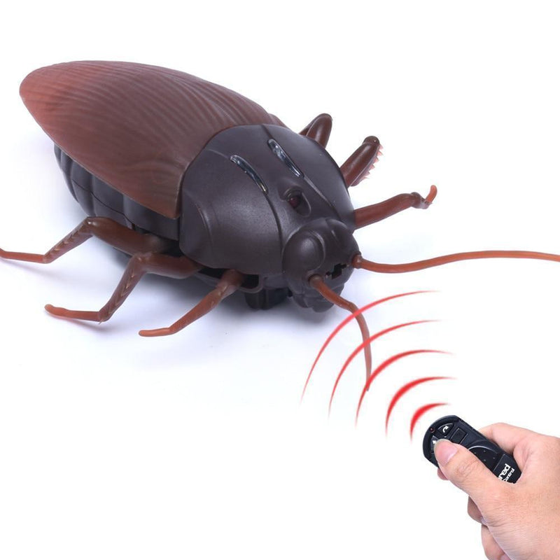 Remote Control Cockroach