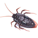 Remote Control Cockroach