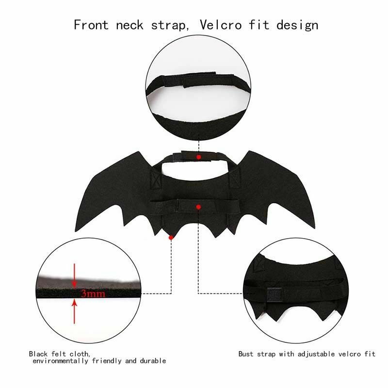 Halloween Cat Costume Suit Black Bat