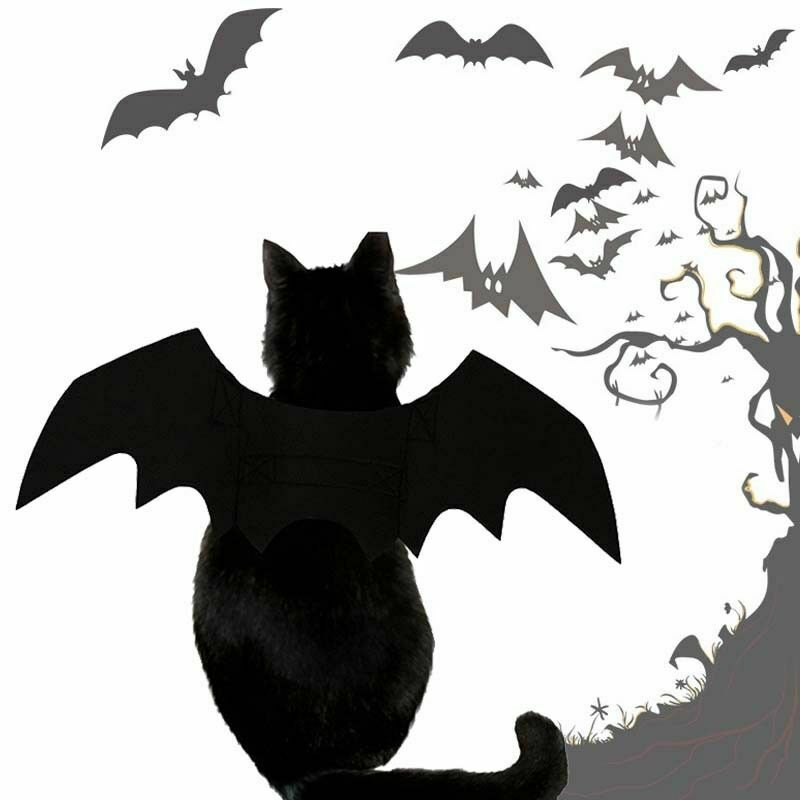 Halloween Cat Costume Suit Black Bat