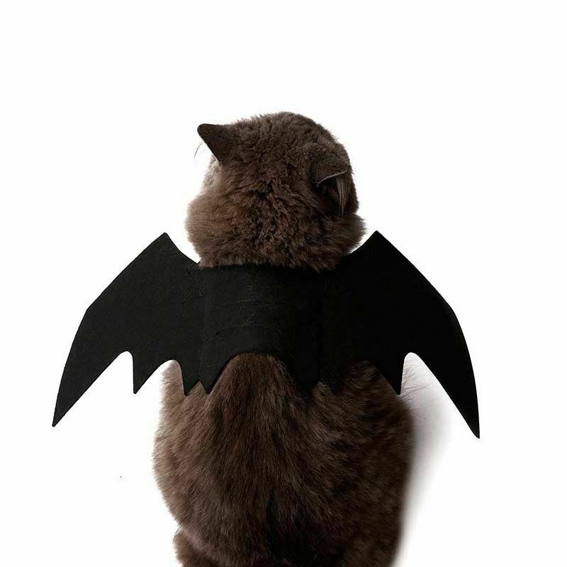 Halloween Cat Costume Suit Black Bat