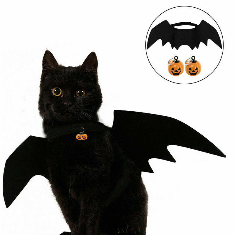 Halloween Cat Costume Suit Black Bat