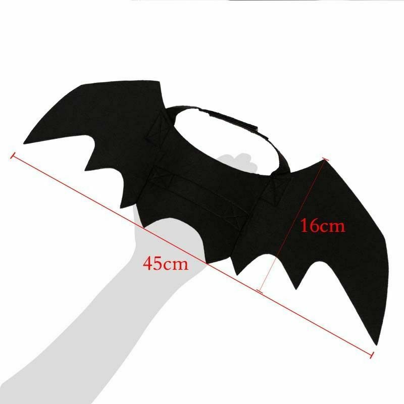 Halloween Cat Costume Suit Black Bat